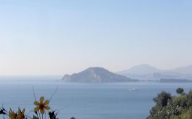 Mini Hotel - Angolo Di Paradiso -